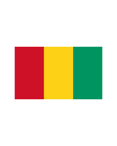 Guinea Bootsfahne/Motorradflagge 30 x 45cm