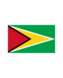 Guyana Fahne/Flagge 60 x 90cm