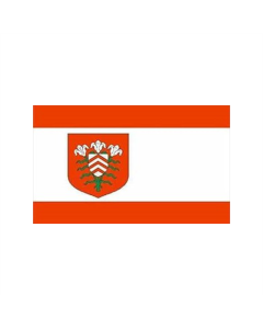 Halle Westfalen Stadt Fahne/Flagge 90 x 150cm