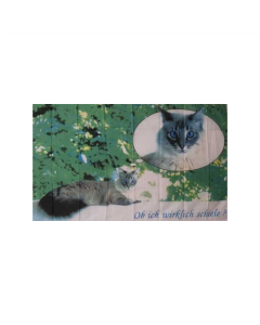 Katze Fahne/Flagge 90 x 150cm