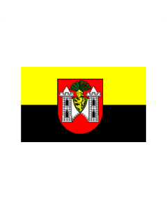 Plauen Stadt Fahne/Flagge 90 x 150cm