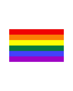 Regenbogen Bootsfahne/Motorradflagge 30 x 45cm