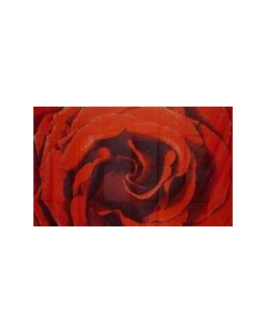 Rose Fahne/Flagge 90 x 150cm