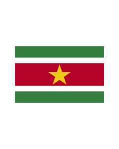 Suriname Fahne/Flagge 90 x 150cm