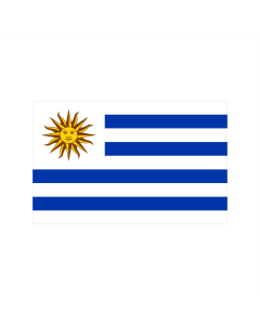 Uruguay Bootsfahne/Motorradflagge 30 x 45cm