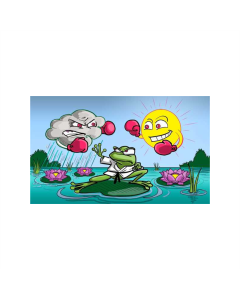 Wetterfrosch Fahne/Flagge 90 x 150cm