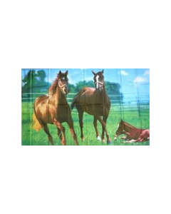 Wildpferde Fahne/Flagge 90 x 150cm